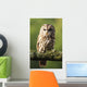 Eurasian Tawny Owl 2 Wall Mural