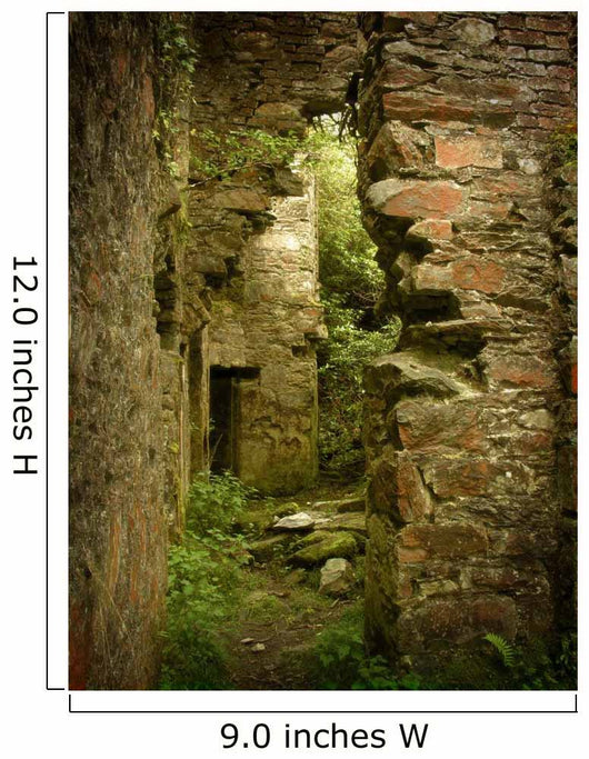 Magic Ruins Wall Mural