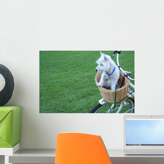 Dog in a Bicycle Basket Wall Mural