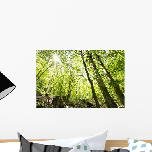 Tall Trees Wall Mural