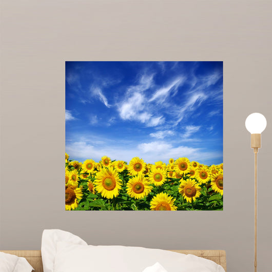 sunflower field Wall Mural