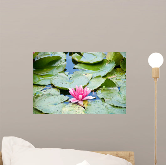 Gardens of Claude Monet in Giverny France Wall Mural