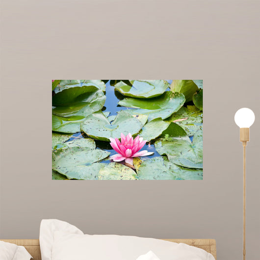 Gardens of Claude Monet in Giverny France Wall Mural