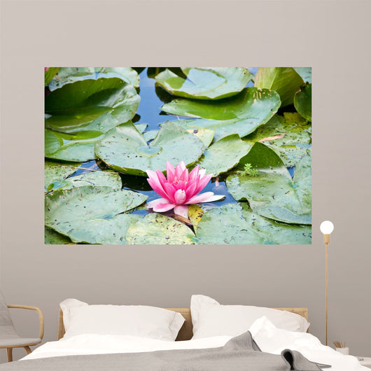 Gardens of Claude Monet in Giverny France Wall Mural