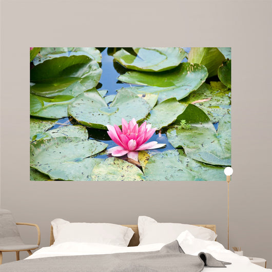 Gardens of Claude Monet in Giverny France Wall Mural