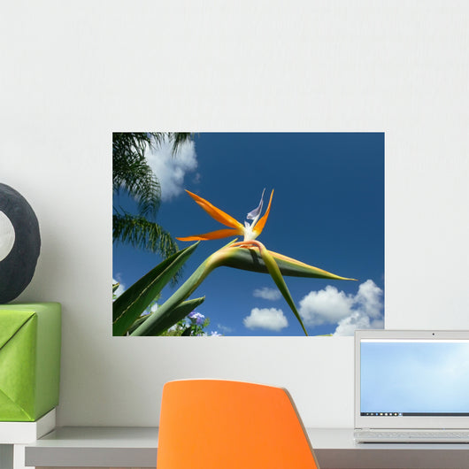 bird of paradise flower Wall Mural