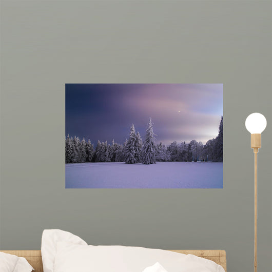 Winter Night Wall Mural