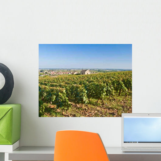 Burgundian Vineyards near Meursault Wall Decal