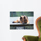 German Shepherd on Dock Wall Mural