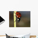 Ladybug Wall Mural