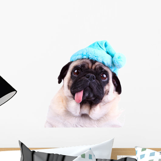 Funny pug dog wearing a blue winter hat Wall Decal