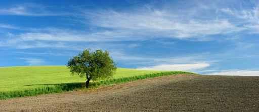 Landscape Wall Decal Design 2