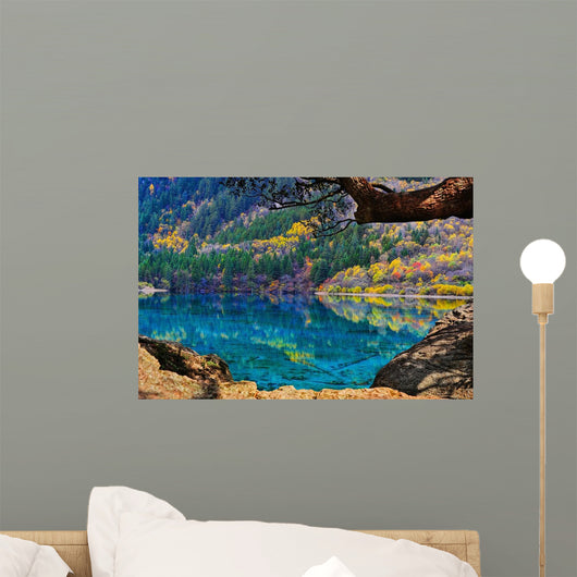 View Of Jiuzhaigou National Park Wall Mural