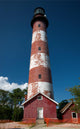 Chincoteague Lighthouse Wall Mural