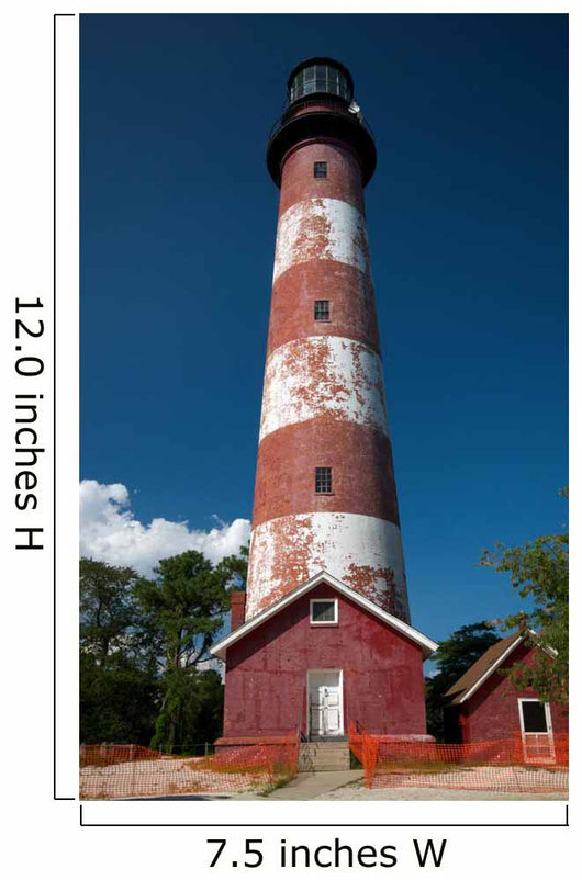 Chincoteague Lighthouse Wall Mural