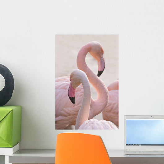Flamingos Wall Mural
