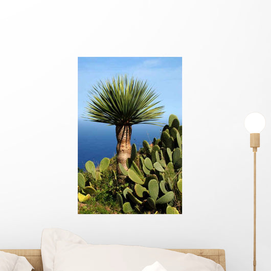 Green Island La Palma Wall Decal