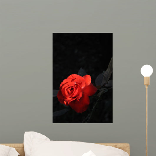 Rossa Wall Mural