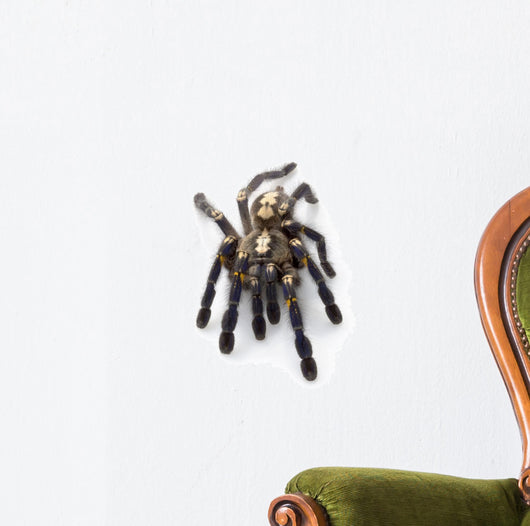Sapphire Ornamental Tarantula Wall Decal
