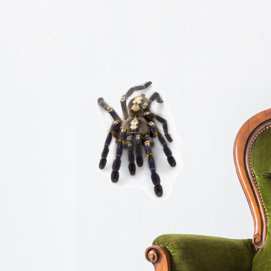 Sapphire Ornamental Tarantula Wall Decal
