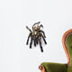 Sapphire Ornamental Tarantula Wall Decal