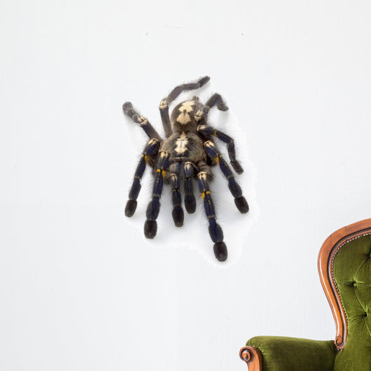 Sapphire Ornamental Tarantula Wall Decal