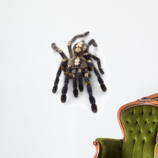 Sapphire Ornamental Tarantula Wall Decal