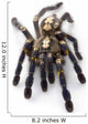 Sapphire Ornamental Tarantula Wall Decal