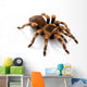 Mexican Redknee Tarantula Wall Decal