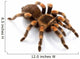 Mexican Redknee Tarantula Wall Decal