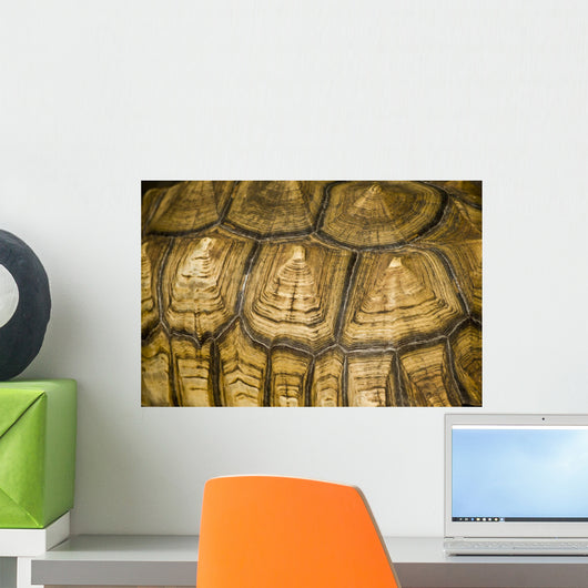 Abstract Tortoise Shell Wall Mural