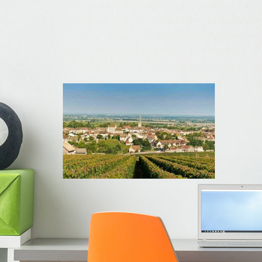 Meursault Village Vintner Wall Decal