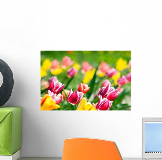 Spring Tulip Meadow Wall Decal Design 2