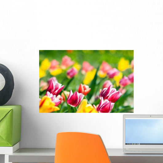 Spring Tulip Meadow Wall Decal Design 2