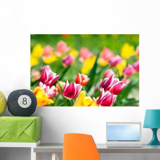Spring Tulip Meadow Wall Decal Design 2