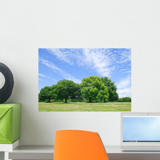 Peaceful scene Wall Mural