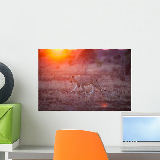 Lioness Wall Decal