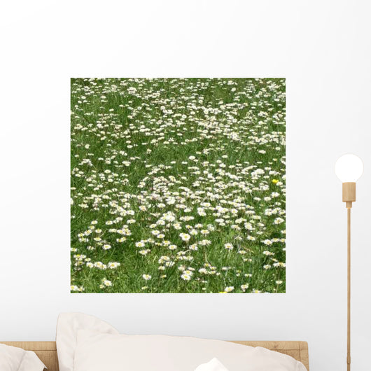 Daisy Wall Decal