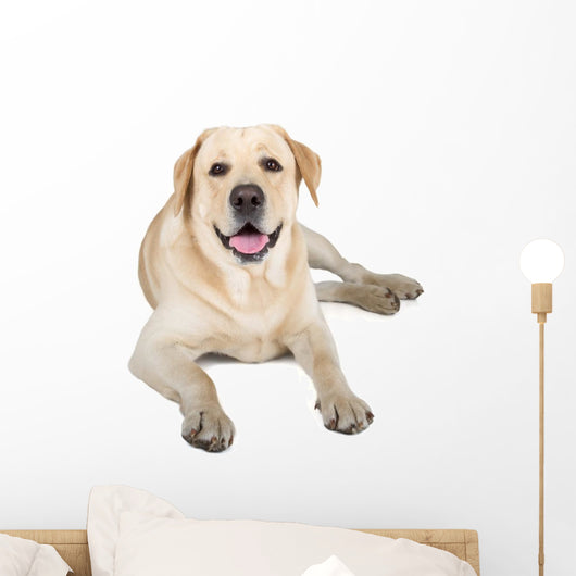 Yellow Labrador Retriever Smiling Wall Decal