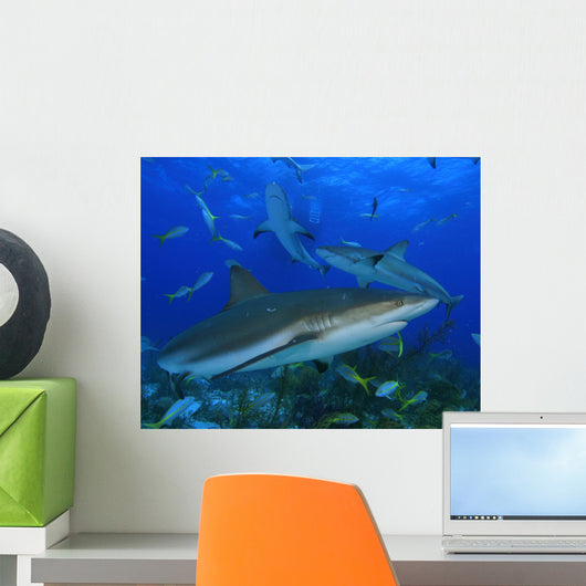 Sharks circle below a Dive Boat Wall Mural