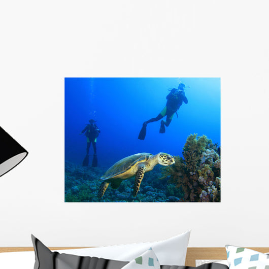 Scuba Divers observe a feeding Turtle Wall Mural