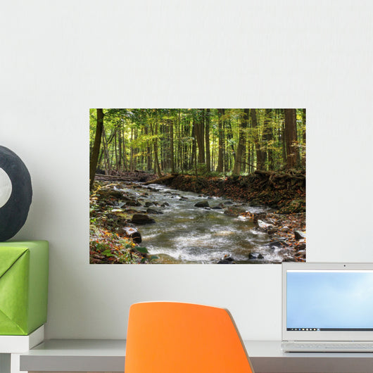 Flowing River Wall Mural