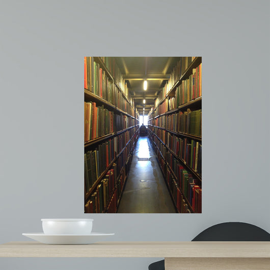 A man studying inside a library in England Wall Mural