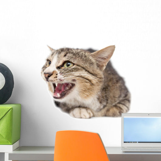 Pretty Kitty Cat Wall Decal
