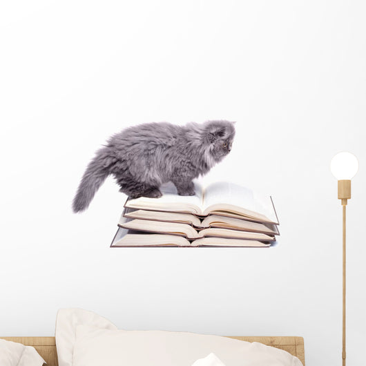 Cute little kitten and books Wall Decal