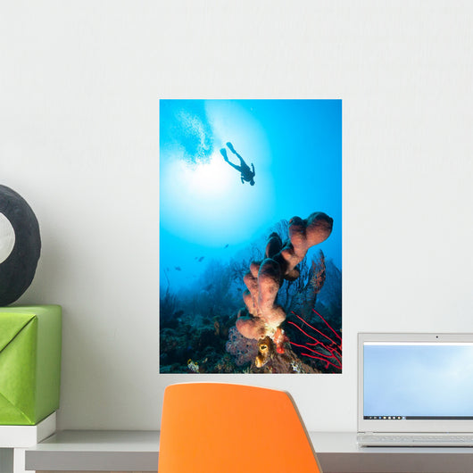 Scuba Diver Silhouette over Wall Decal
