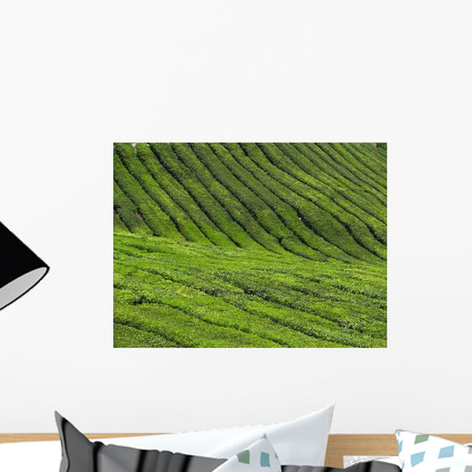 Cameron Highlands Tea Malaysia Wall Decal