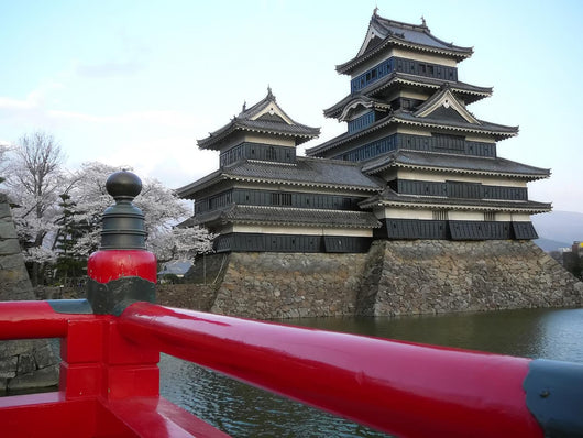 Matsumoto Castle during Sakura Wall Mural