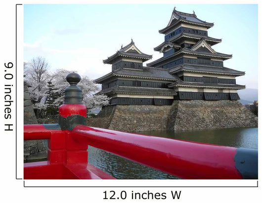 Matsumoto Castle during Sakura Wall Mural