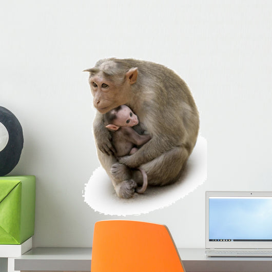 Monkey Macaca Family in Indian Town Wall Decal